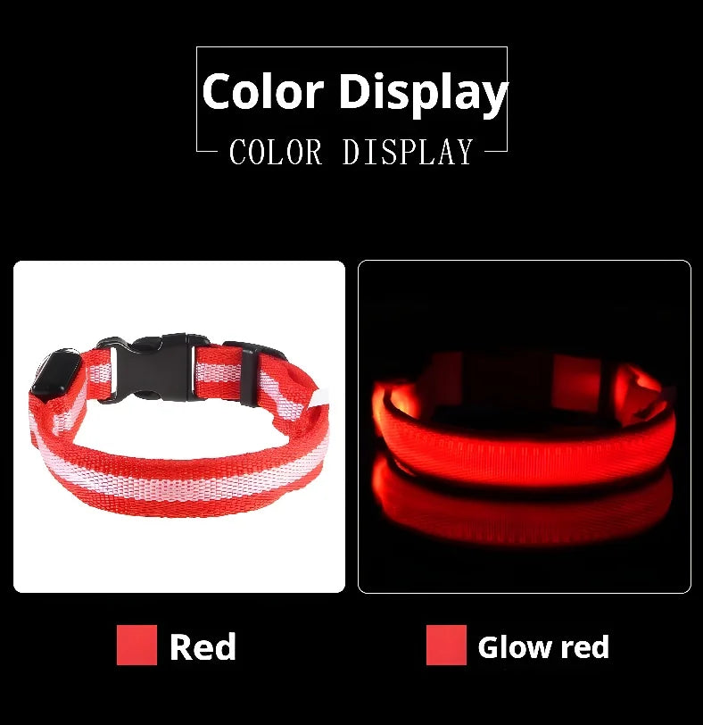 Dog Collar Nylon LED Night Safety Flashing Glow In The Dark Pet Dog