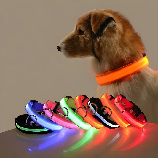 Dog Collar Nylon LED Night Safety Flashing Glow In The Dark Pet Dog