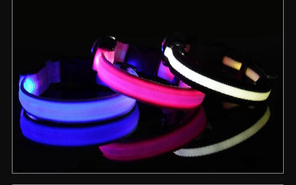 Dog Collar Nylon LED Night Safety Flashing Glow In The Dark Pet Dog