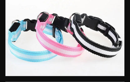 Dog Collar Nylon LED Night Safety Flashing Glow In The Dark Pet Dog