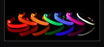 Dog Collar Nylon LED Night Safety Flashing Glow In The Dark Pet Dog